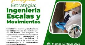 Estrategia ingeniería a escalas y movimientos